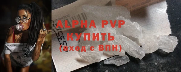 прущие грибы Абаза