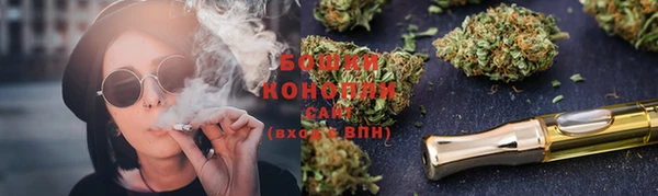 прущие грибы Абаза