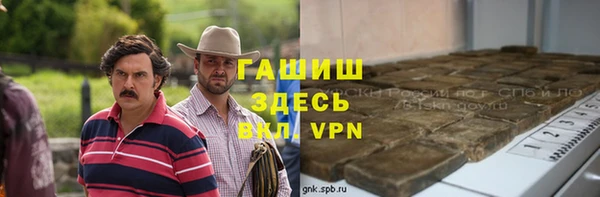 прущие грибы Абаза