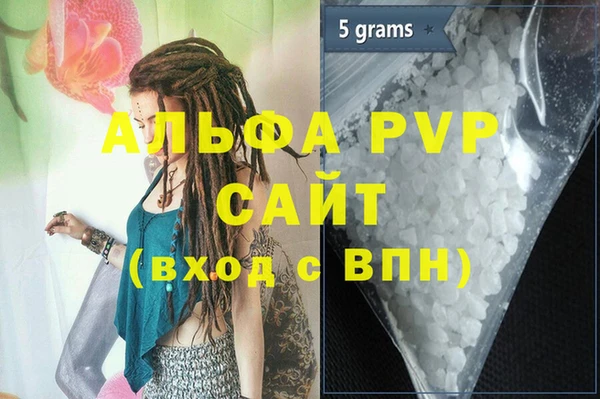 прущие грибы Абаза