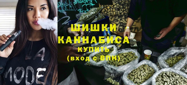 прущие грибы Абаза