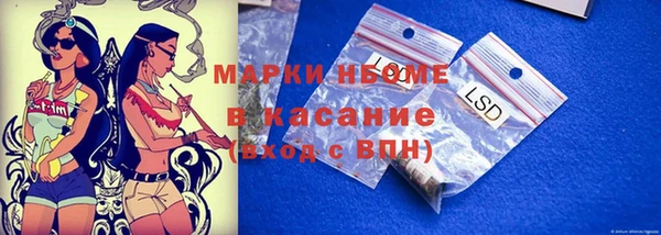 прущие грибы Абаза