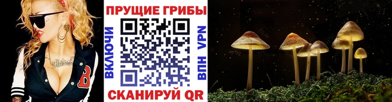 Галлюциногенные грибы Magic Shrooms  сколько стоит  mega ссылка  Чкаловск 